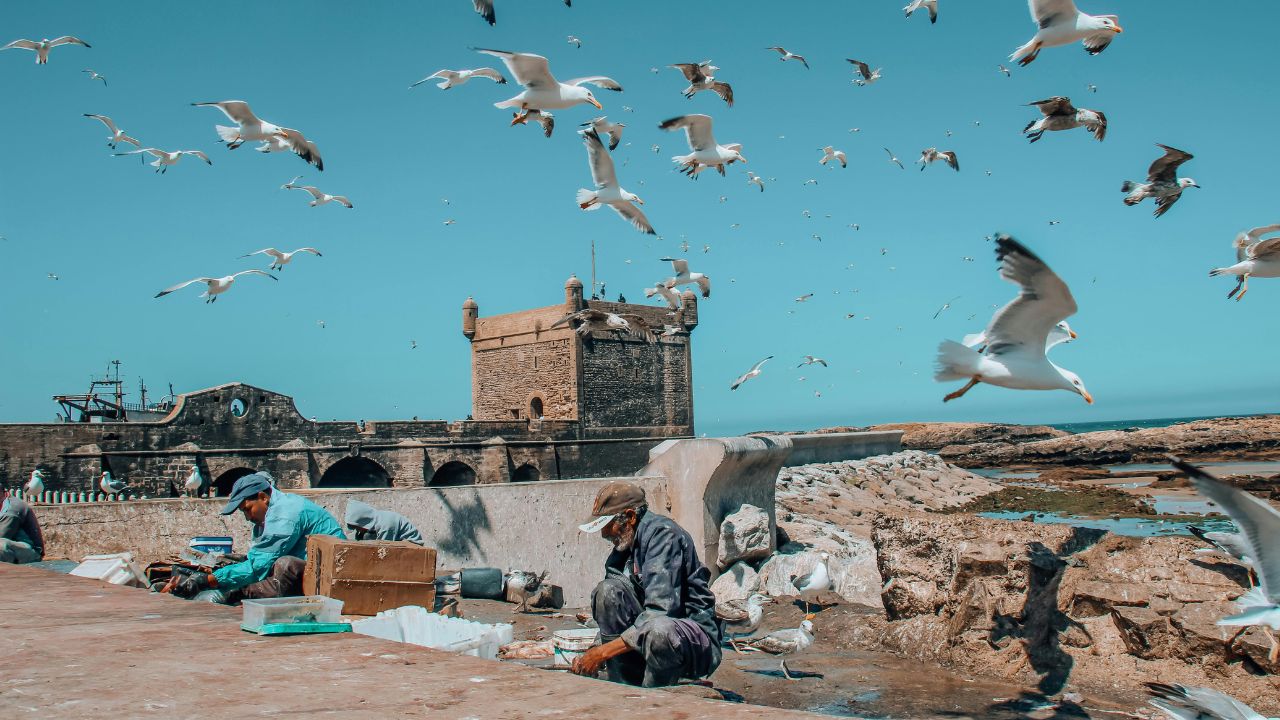 essaouira transfer from marrakech