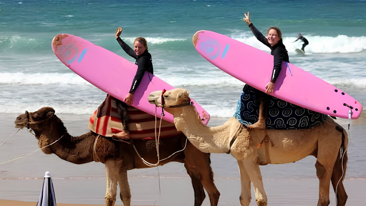 private transfer from Marrakesh to Taghazout